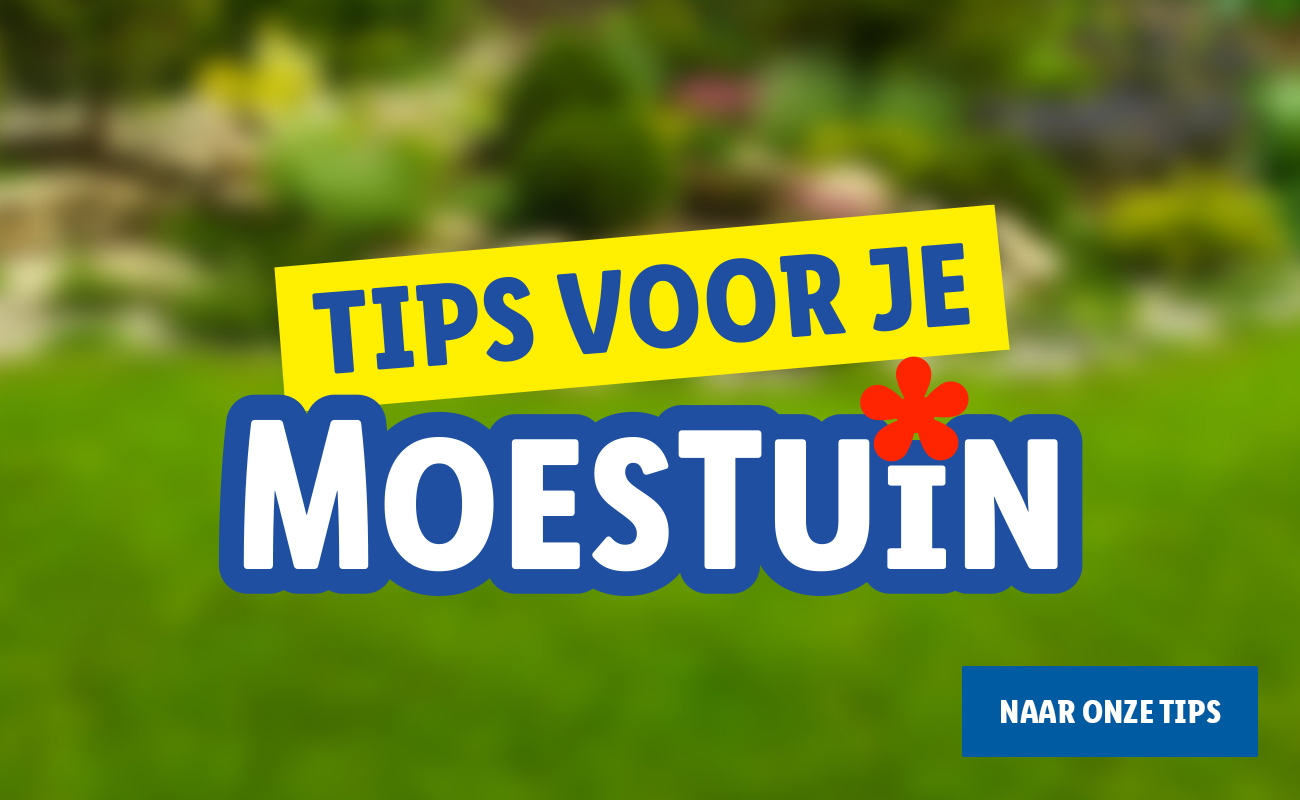 Een bloeiende moestuin in 7 stappen