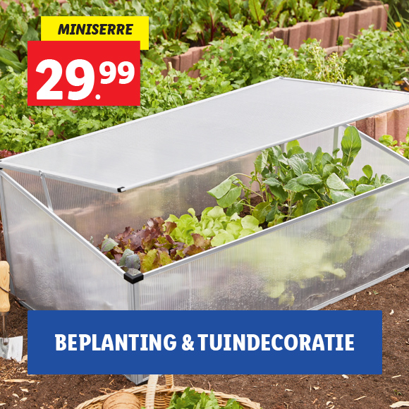 Beplanting & tuindecoratie