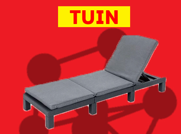 Tuin