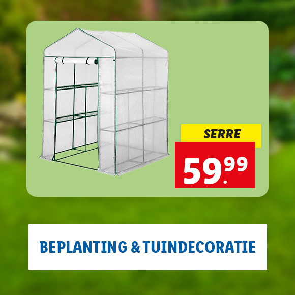 Beplanting & tuindecoratie