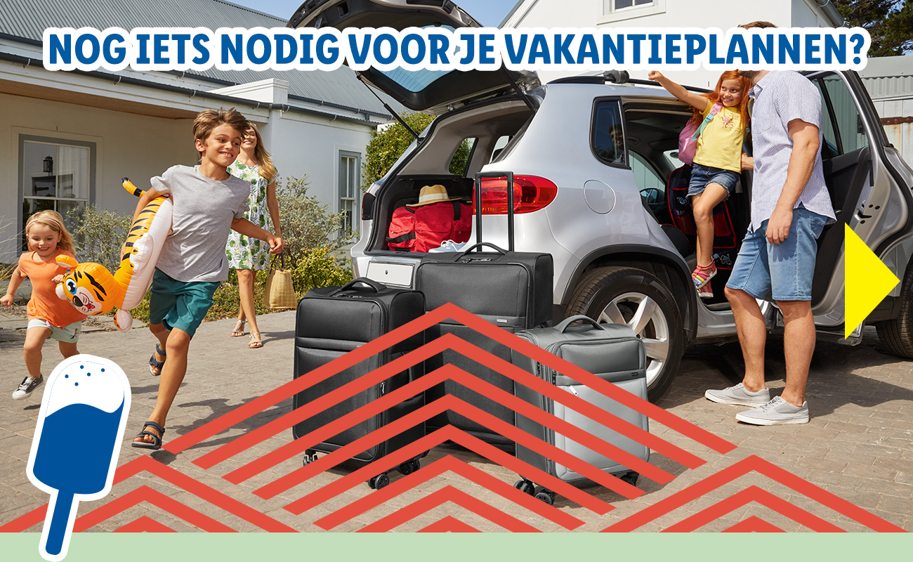 Reisartikelen