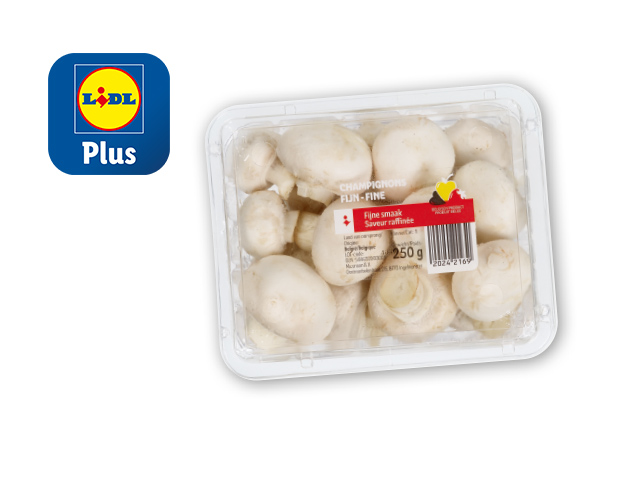 Fijne champignons