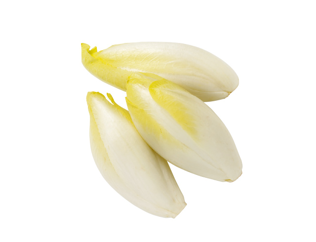 Witloof