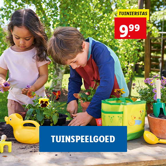 Tuinspeelgoed