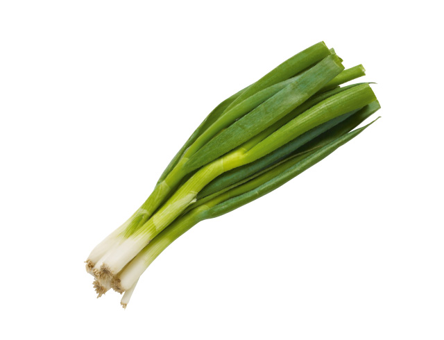 Lente-ui