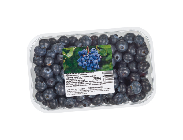Blauwe bessen XXL