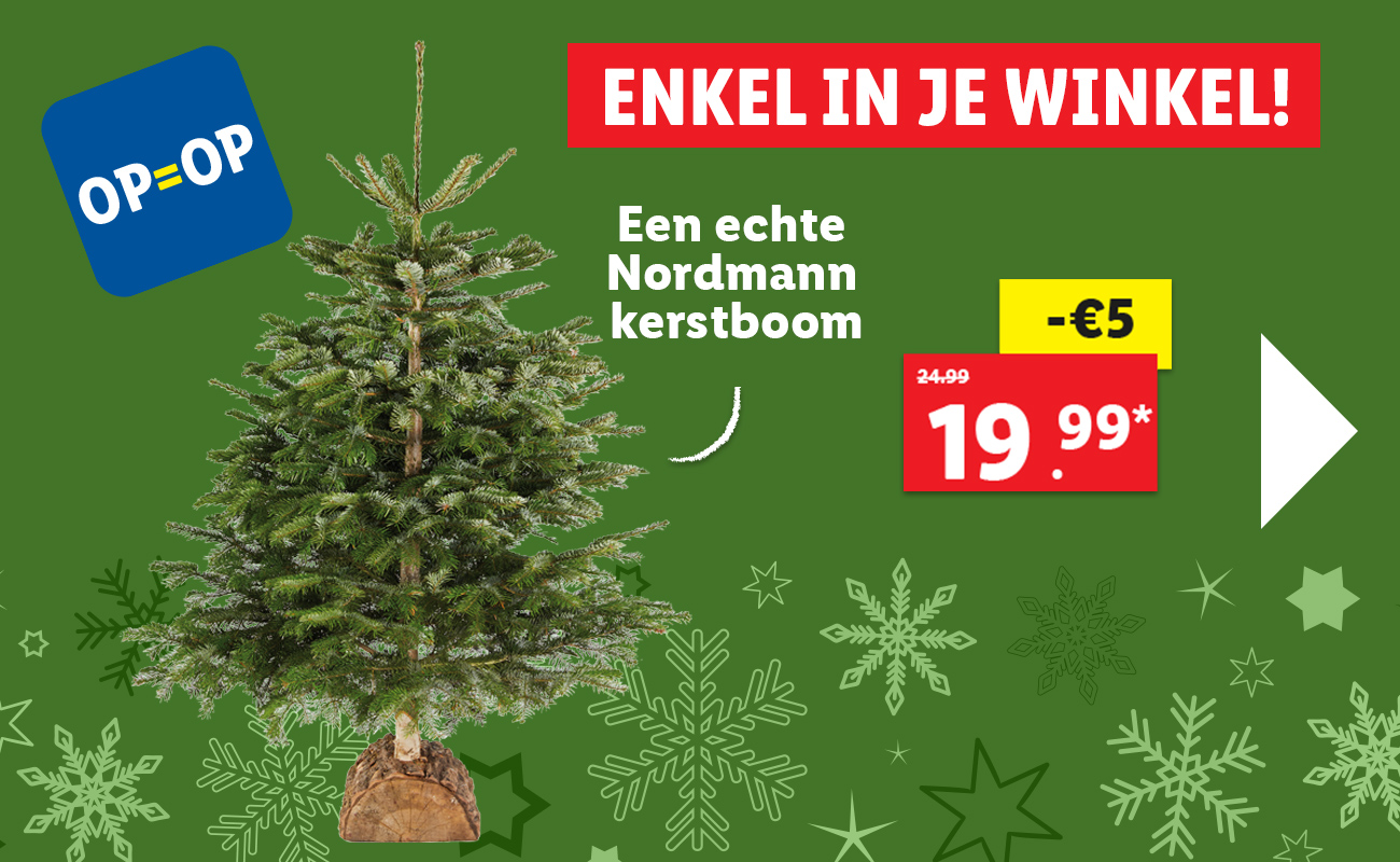 Normann kerstboom