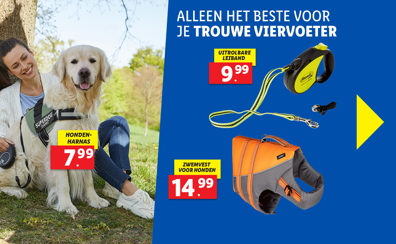 Huisdieren