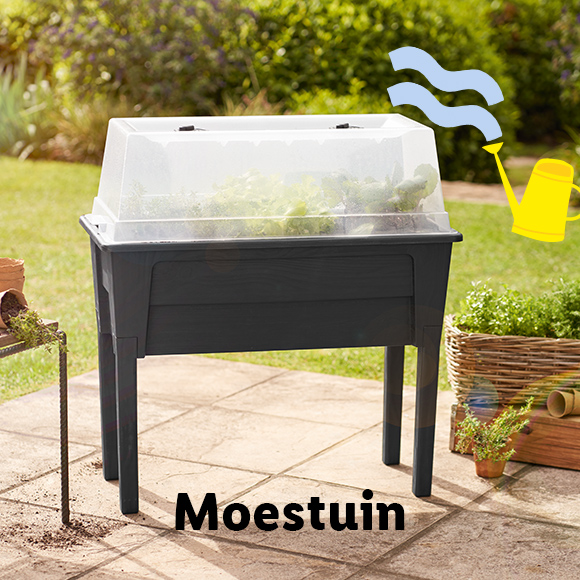 Moestuin