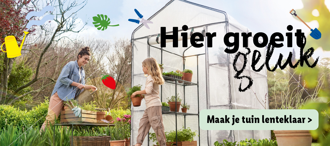 Tuin