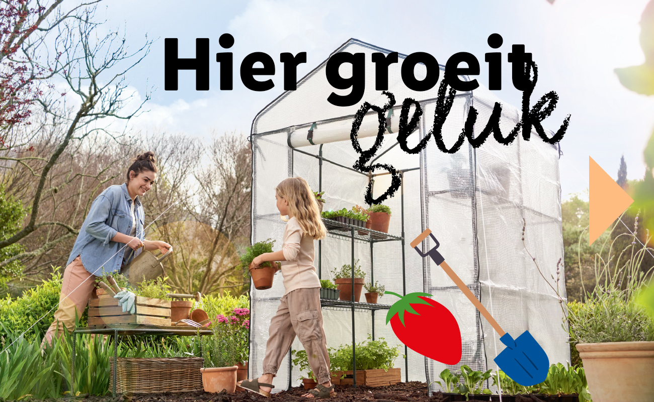 Tuin