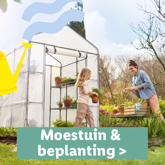 Moestuin & beplanting