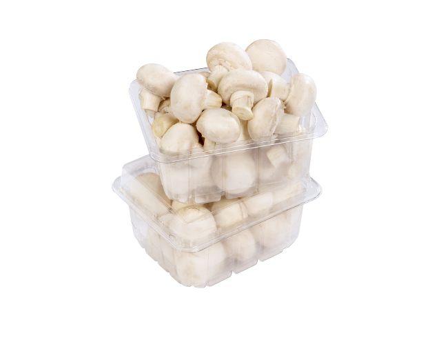 Fijne champignons