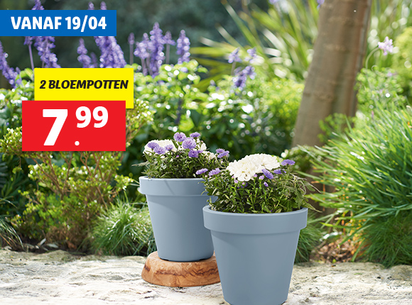 Tuin