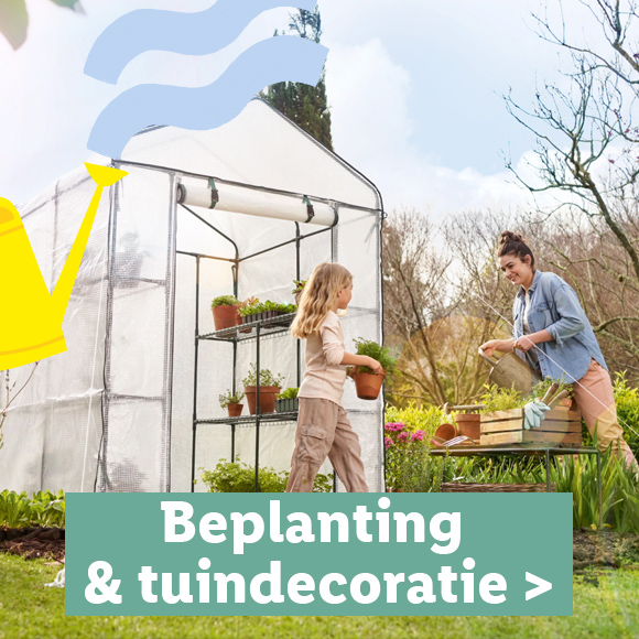 Beplanting & tuindecoratie